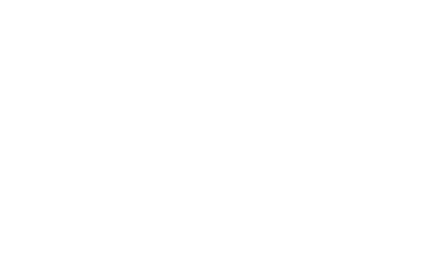 Fundación DIES